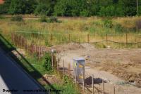 Imagine atasata: Dermatina - 2015.07.05 - 04.jpg